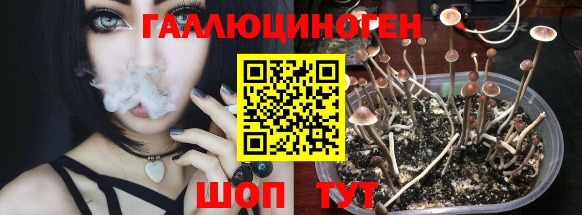 Псилоцибиновые грибы мухоморы  Вход с VPN  Владимир 