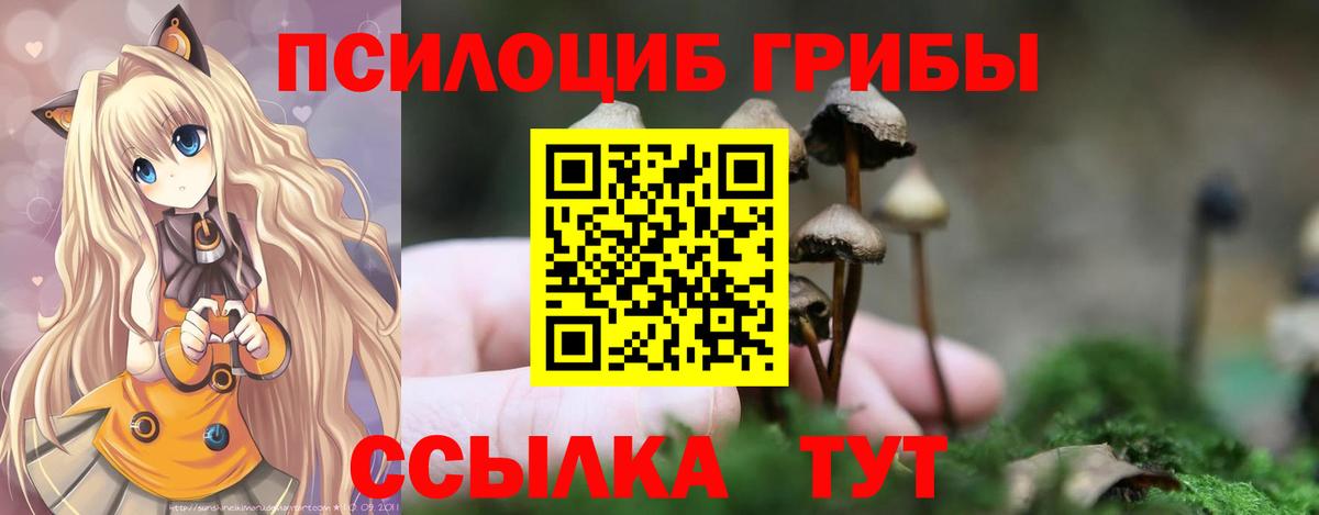 Галлюциногенные грибы Magic Shrooms Владимир